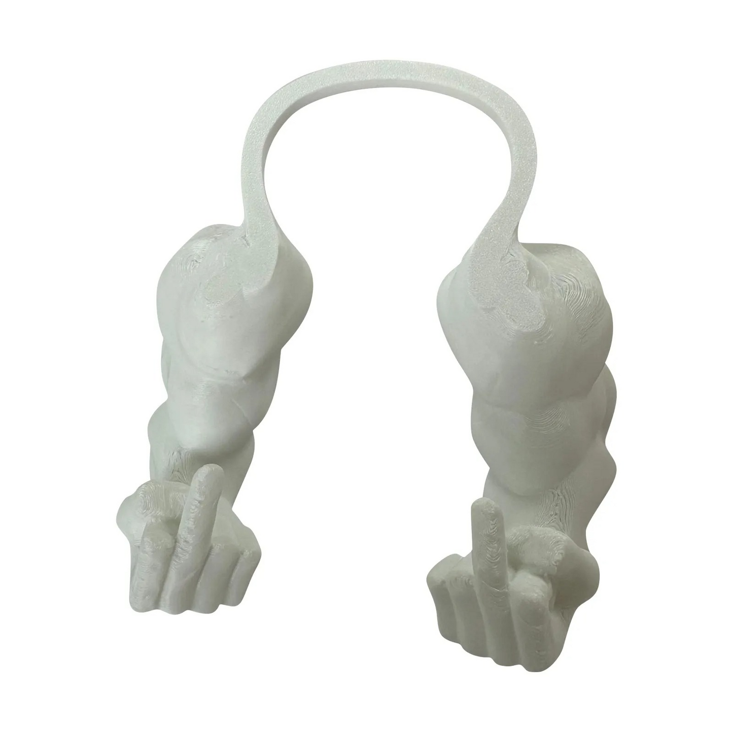 Cat Muscle Arms
