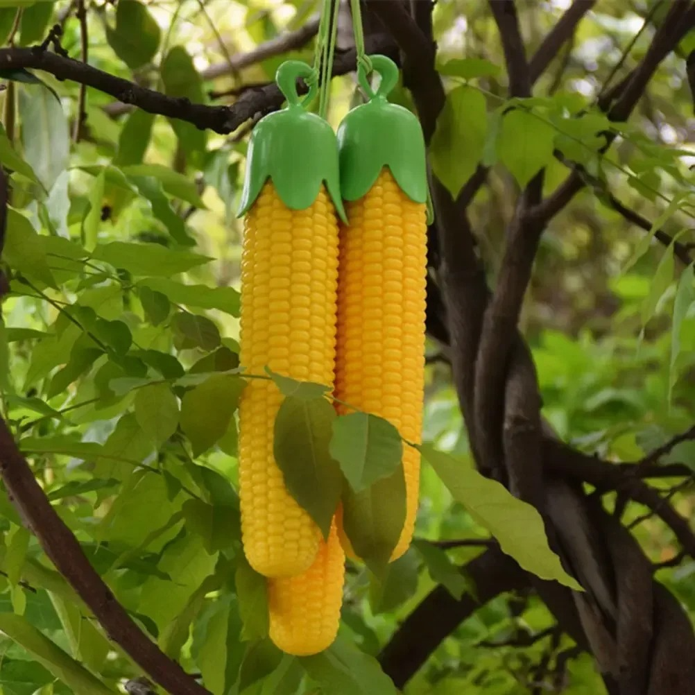 Umbrella Food